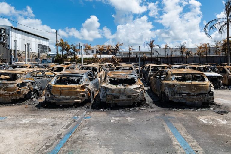 manifestations en Martinique